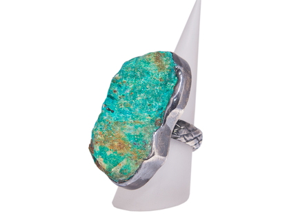 DBD 0984 (1)