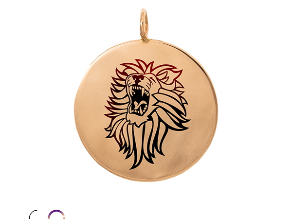 DBD 3679+logo+lion (1)