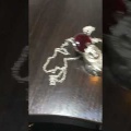youtube-vNXQJZIjLCc-61aa314fbea4f.jpg