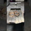 Обручки у стилі Damiani з діамантами